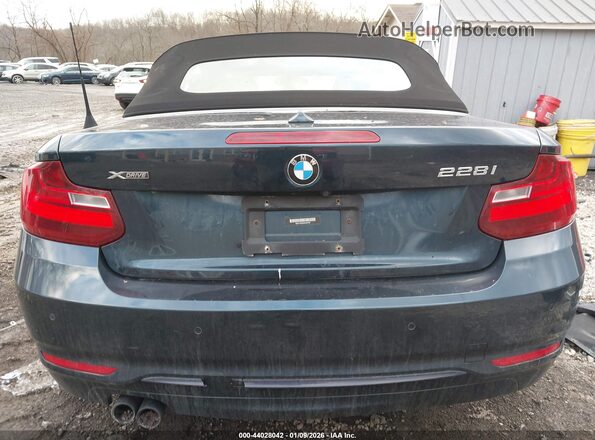 WBA1L9C52GV324181 2016 BMW 2 SERIES Navy 