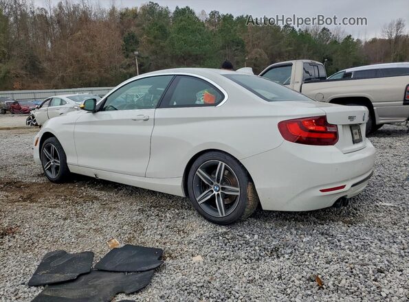 WBA2F9C33HV984158 2017 BMW 2 SERIES White Հետևի ձախ