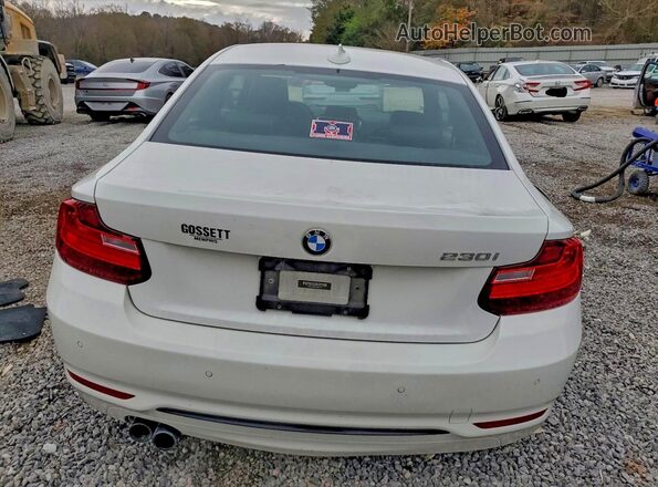 WBA2F9C33HV984158 2017 BMW 2 SERIES White Հետևի տեսք