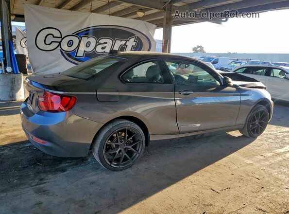 WBA2F9C56HV664544 2017 BMW 2 SERIES Gray Հետևի աջ