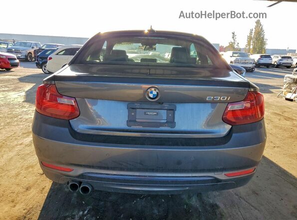 WBA2F9C56HV664544 2017 BMW 2 SERIES Gray Հետևի տեսք