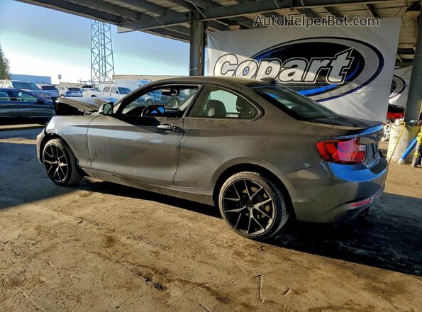 WBA2F9C56HV664544 2017 BMW 2 SERIES Gray Հետևի ձախ
