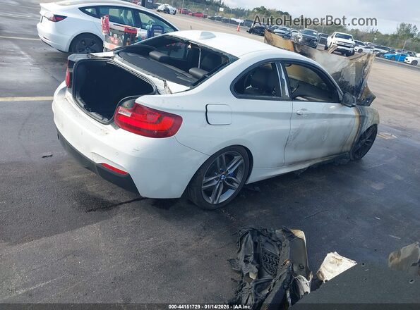 WBA2F9C57HV664486 2017 BMW 2 SERIES White Tył prawy