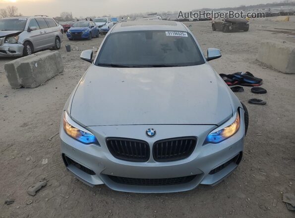 WBA2H9C33HV642493 2017 BMW 2 SERIES Silver Widok z przodu