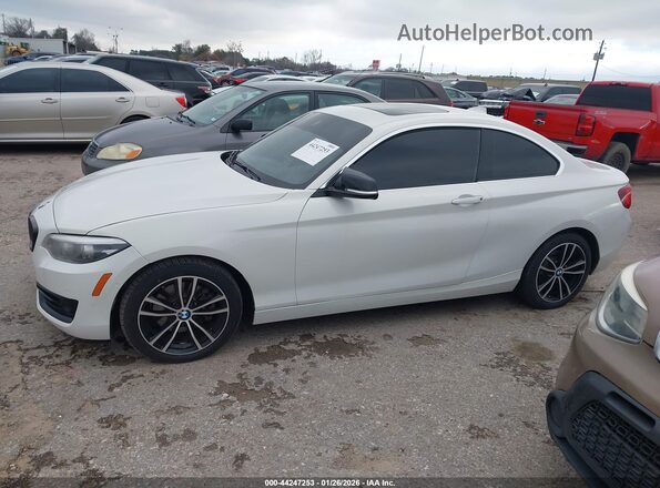 WBA2J1C07L7E25248 2020 BMW 2 SERIES Белый Панорамный вид салона 360°