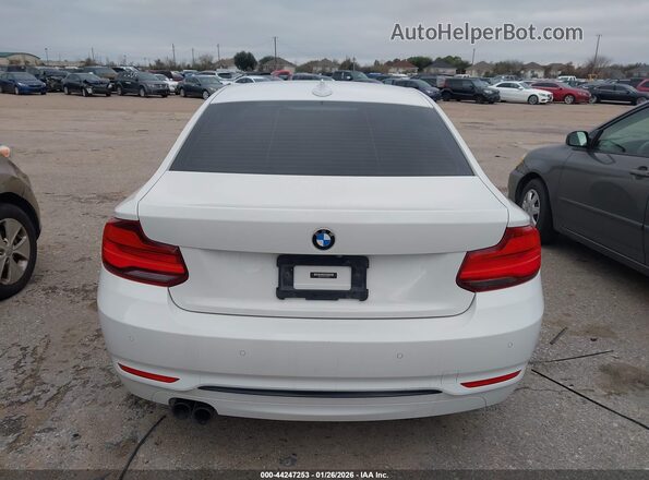 WBA2J1C07L7E25248 2020 BMW 2 SERIES Белый 