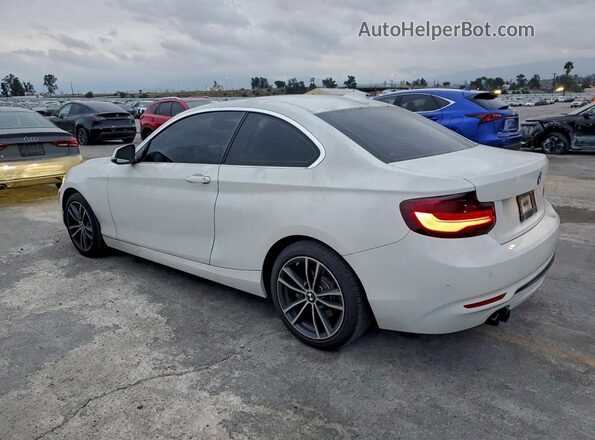 WBA2J1C52KVD09896 2019 BMW 2 SERIES White Հետևի ձախ