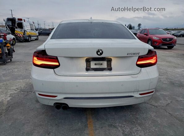 WBA2J1C52KVD09896 2019 BMW 2 SERIES White Հետևի տեսք