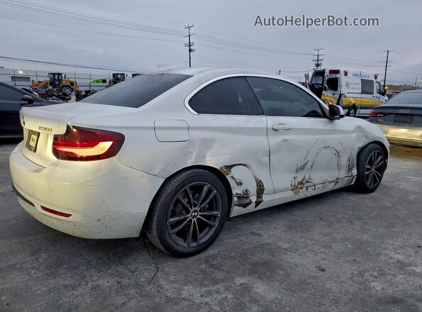 WBA2J1C52KVD09896 2019 BMW 2 SERIES White Հետևի աջ