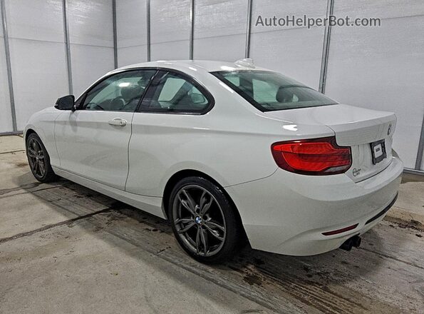 WBA2J1C56JVD09205 2018 BMW 2 SERIES Белый Задняя левая четверть