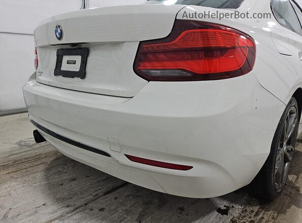 WBA2J1C56JVD09205 2018 BMW 2 SERIES Белый 