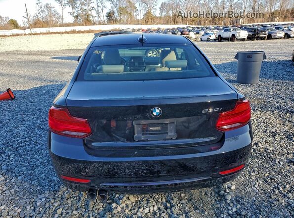 WBA2J1C56JVD09365 2018 BMW 2 SERIES Черный Вид салона спереди