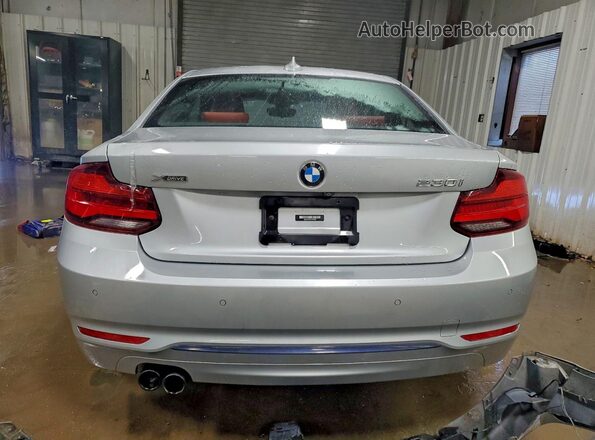 WBA2J3C0XL7F01069 2020 BMW 2 SERIES Silver Вид ззаду