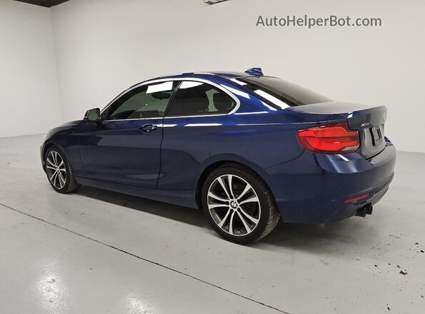 WBA2J3C52JVD48904 2018 BMW 2 SERIES Blue Trasero izquierdo