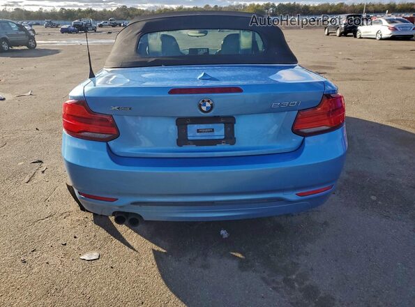 WBA2K1C50JVD41113 2018 BMW 2 SERIES Blue Widok z tyłu