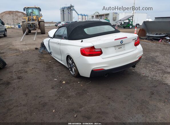 WBA2L1C36HV666710 2017 BMW M2 White Trasero izquierdo