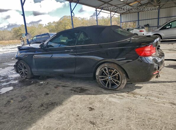 WBA2M7C54JVD51205 2018 BMW 2 SERIES Black Trasero izquierdo
