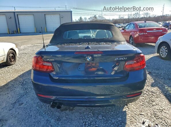 WBA2M9C35HV717660 2017 BMW 2 SERIES Blue Հետևի տեսք