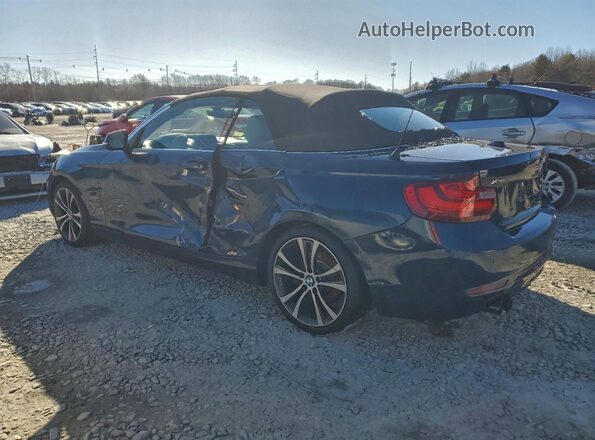 WBA2M9C35HV717660 2017 BMW 2 SERIES Blue Հետևի ձախ