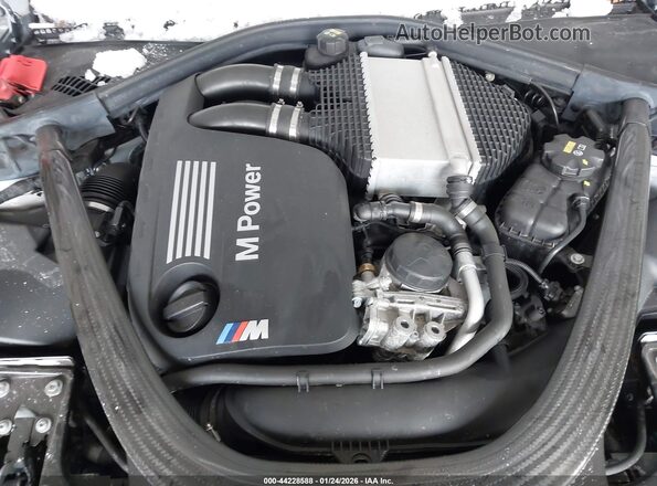 WBS2U7C06M7J66319 2021 BMW M2 Gray Հետևի տեսք