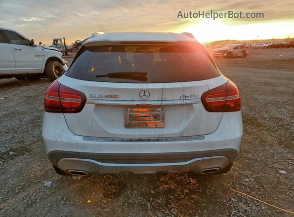 WDCTG4GB2LU027411 2020 MERCEDES-BENZ GLA White Widok z tyłu