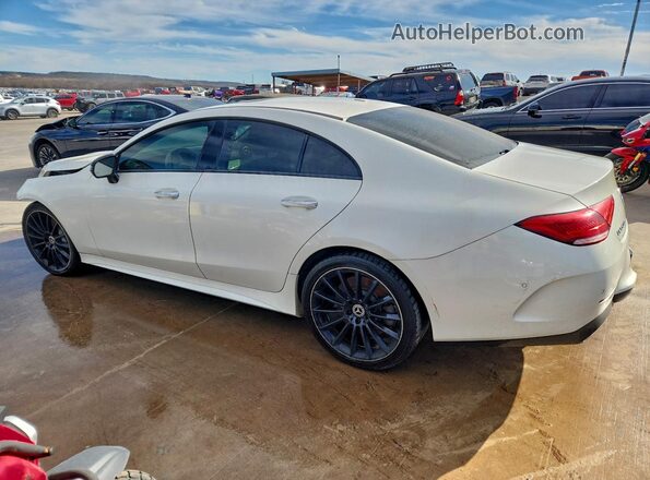 WDD2J5JB8LA050183 2020 MERCEDES-BENZ CLS-CLASS White Հետևի ձախ