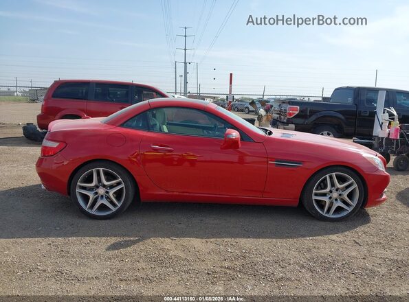 WDDPK3JA0GF124025 2016 MERCEDES-BENZ SLK 300 Красный Вид задней части салона