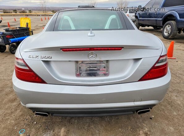 WDDPK3JA8GF121633 2016 MERCEDES-BENZ SLK Silver Вид ззаду
