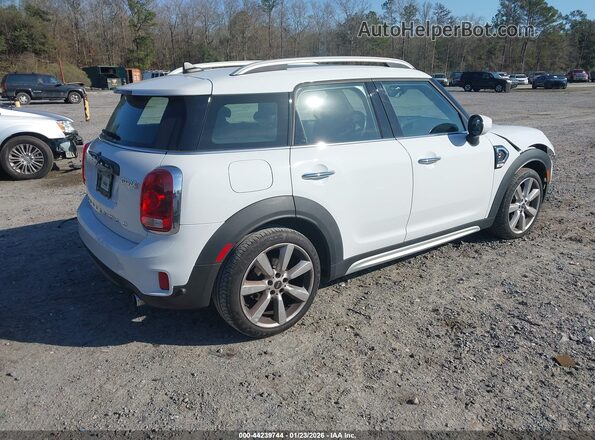 WMZYW7C00L3L95984 2020 MINI COUNTRYMAN White Widok tylnych siedzeń
