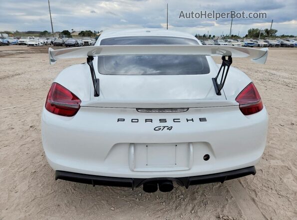 WP0AC2A82GK197098 2016 PORSCHE CAYMAN White უკანა ხედი