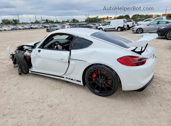WP0AC2A82GK197098 2016 PORSCHE CAYMAN White უკანა მარცხენა