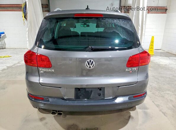 WVGBV7AX0GW532401 2016 VOLKSWAGEN TIGUAN Угольный Вид сзади
