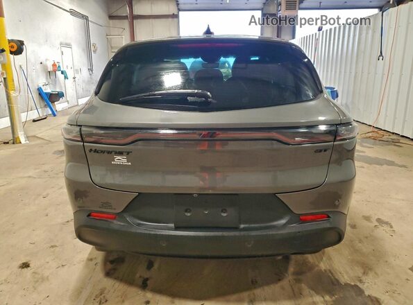 ZACNDFAN9S3A45773 2025 DODGE OTHER Gray Widok z tyłu