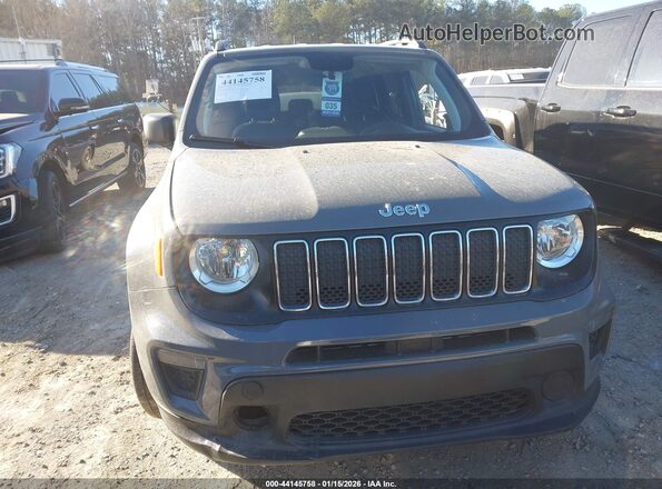 ZACNJBAB9KPK73754 2019 JEEP RENEGADE Gray Instrument cluster view