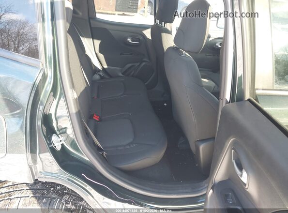 ZACNJDAB2MPM40079 2021 JEEP RENEGADE Green Vista de la etiqueta del VIN