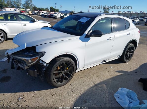 ZASPAJAN3L7C76297 2020 ALFA ROMEO STELVIO White 