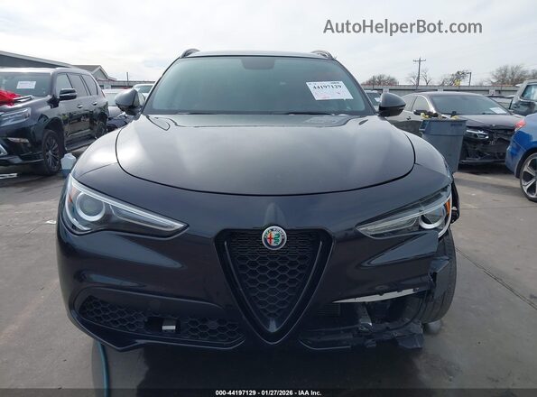 ZASPAJAN6K7C71156 2019 ALFA ROMEO STELVIO Черный Вид задней части салона