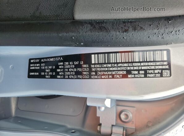 ZASPAKAN1M7D09630 2021 ALFA ROMEO STELVIO Blue 