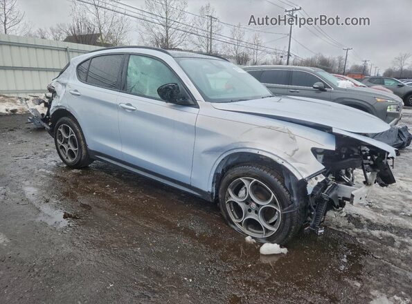 ZASPAKAN1M7D09630 2021 ALFA ROMEO STELVIO Blue 