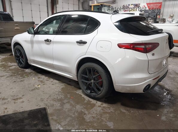 ZASPAKBN0L7C76309 2020 ALFA ROMEO STELVIO Белый Задняя левая четверть
