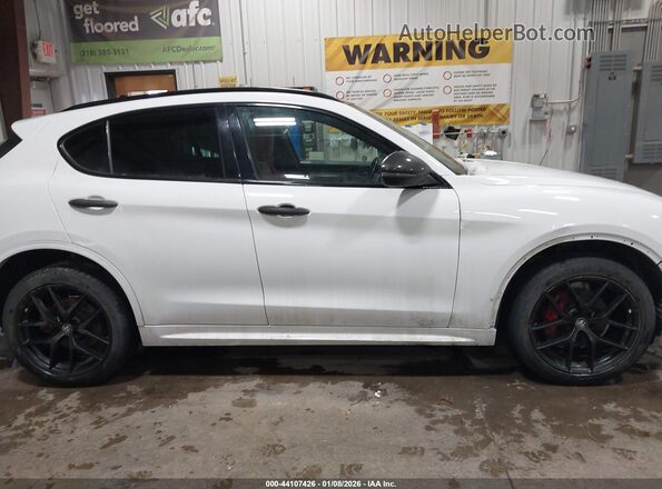 ZASPAKBN0L7C76309 2020 ALFA ROMEO STELVIO Белый Вид задней части салона