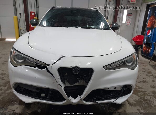 ZASPAKBN0L7C76309 2020 ALFA ROMEO STELVIO Белый Вид щитка приборов