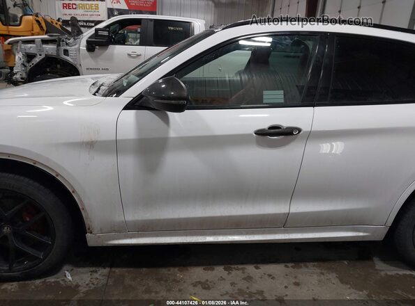 ZASPAKBN0L7C76309 2020 ALFA ROMEO STELVIO Белый Панорамный вид салона 360°