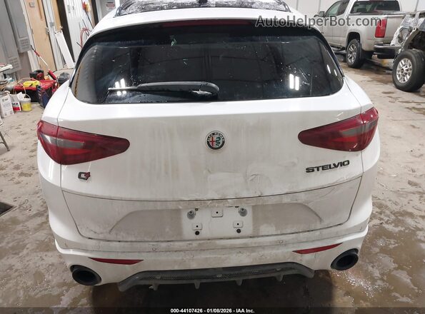 ZASPAKBN0L7C76309 2020 ALFA ROMEO STELVIO Белый 