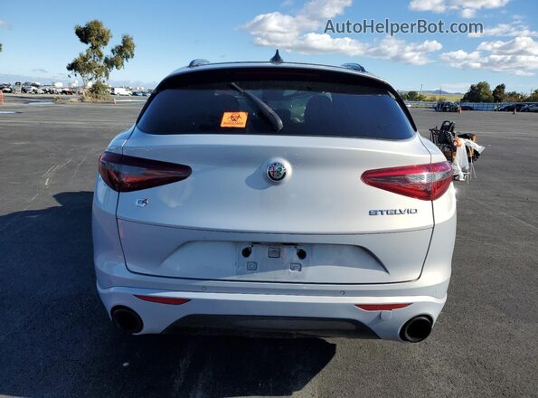 ZASPAKBN0M7D01131 2021 ALFA ROMEO STELVIO Silver Հետևի տեսք