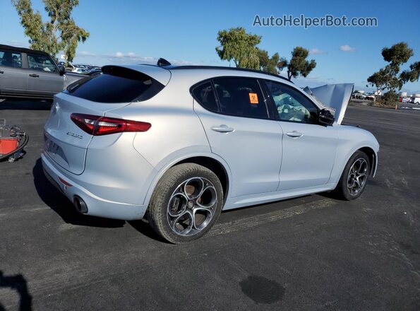 ZASPAKBN0M7D01131 2021 ALFA ROMEO STELVIO Silver Հետևի աջ