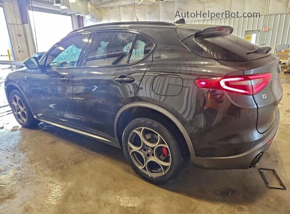 ZASPAKBN3N7D39664 2022 ALFA ROMEO STELVIO Black Tył lewy
