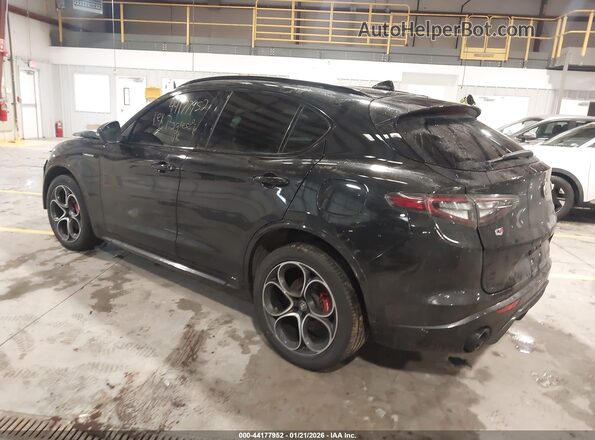 ZASPAKBN3R7D74596 2024 ALFA ROMEO STELVIO Black Задня ліва чверть