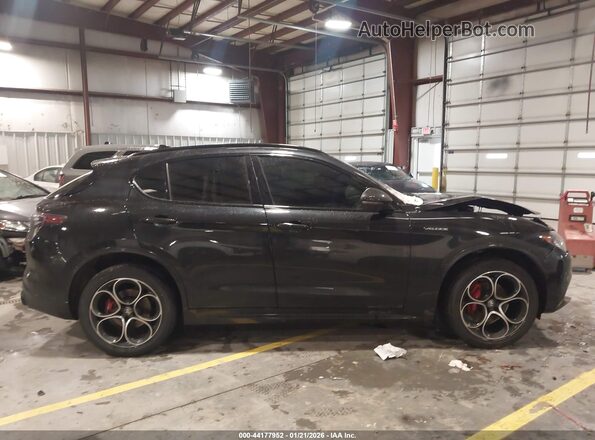 ZASPAKBN3R7D74596 2024 ALFA ROMEO STELVIO Black Вид задньої частини салону