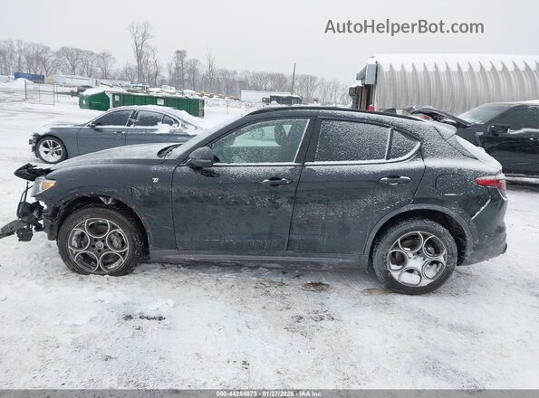 ZASPAKBN4P7D57061 2023 ALFA ROMEO STELVIO Black Vista interior de 360 grados